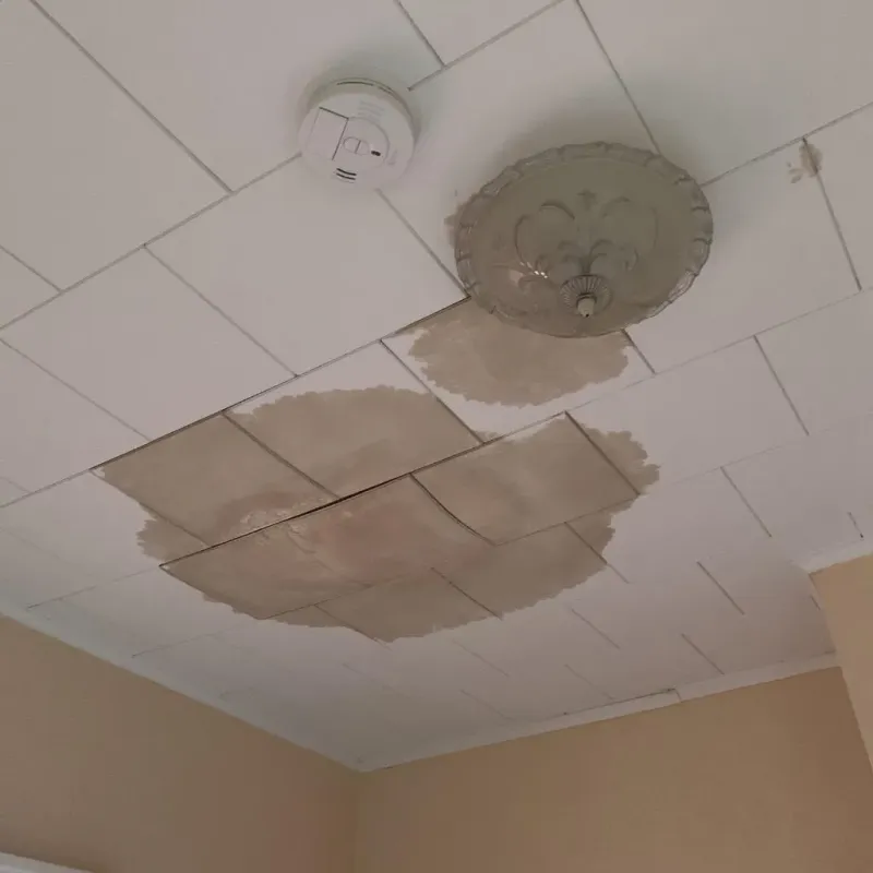 Ceiling Water Damage Repair in Poughkeepsie, NY